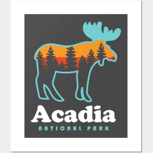 Acadia National Park Camping Bar Harbor Maine Moose Posters and Art